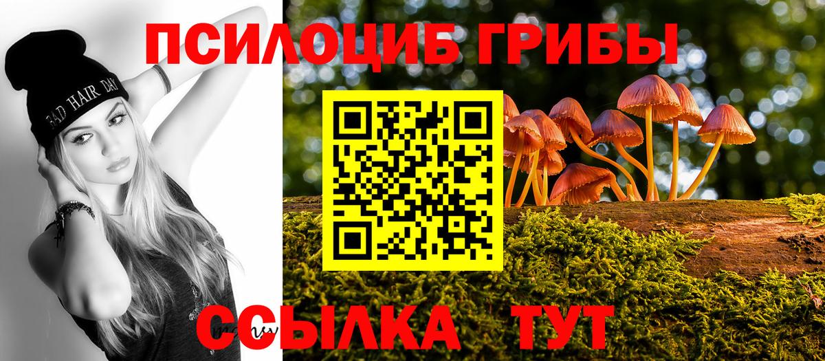 Псилоцибиновые грибы прущие грибы  где купить наркоту  Армавир  Псилоцибиновые грибы ЛСД 
