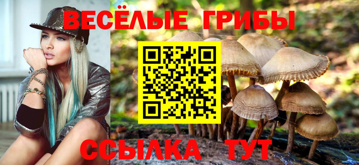 Псилоцибиновые грибы Psilocybine cubensis Армавир